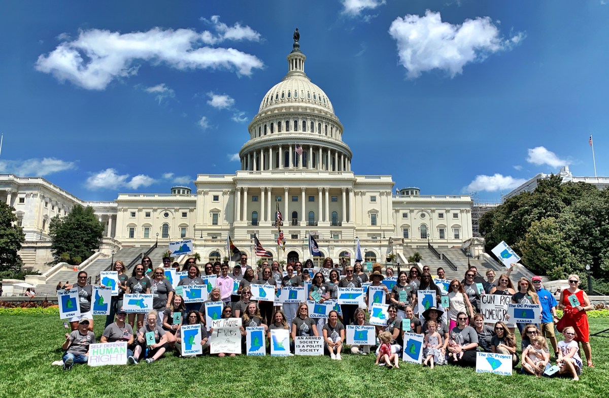 The DC Project – Week Review – Girl's Guide to the Gun World